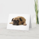 Search for guilty cards Cute