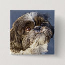 Search for tzu buttons Adorable