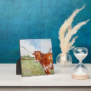 Recherche de texas longhorn posters Illustration