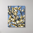 Search for willow tree canvas prints Nature