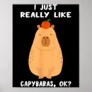Search for rodent posters Capybara