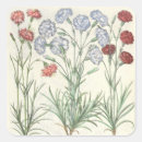 Recherche de oeillet autocollants Carnation