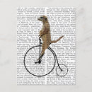 Search for penny black Animals