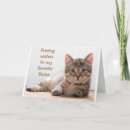 Recherche de chat de comédie Chaton