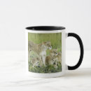 Search for affectionate mugs Wildlife