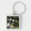 Search for humboldt keychains Redwood
