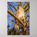 Recherche de faucon art Oiseau de proie
