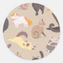 Search for kitty cat pattern stickers Pet