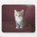 Search for sofa mousepads Horizontal