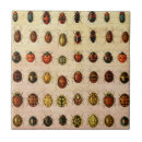 Search for insect tiles Ladybug