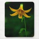 Search for posing mousepads Photograph