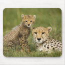Recherche de visuels tapis souris Contact visuel