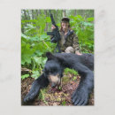 Search for joey postcards Bear