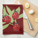 Recherche de coccinelle cuisine linges Insecte