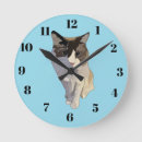 Search for cat clocks Pastel