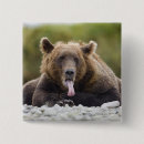 Search for alaska state buttons United states of america