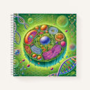 Search for eukaryotes Molecular biology