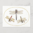 Recherche de illustration de libellule cartes postales Vintage