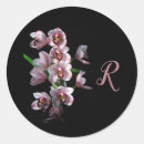 Search for black orchids stickers Botanical