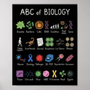 Search for abc teacher posters Pink