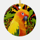 Search for conure ornaments Pet