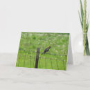 Search for footed cards Animal