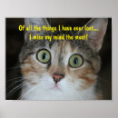 Recherche de animaux uniques posters Chat