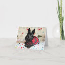 Search for scottie christmas cards Dog