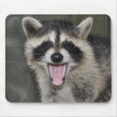 Search for raccoons mousepads Baby