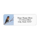 Search for bluebird return address labels Wildlife