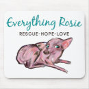 Search for animal rescue electronics Shelter