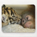 Recherche de orang outan tapis souris Animaux