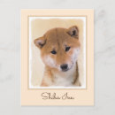 Recherche de shiba cartes postales Inu