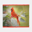 Search for red cardinal bird blankets Fleece