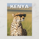 Search for masai mara postcards Travel