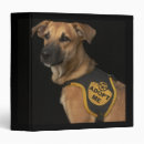 Recherche de adopté photographie Chien