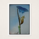 Search for aceo Miniature