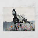 Recherche de mustang sauvage cartes postales Noir
