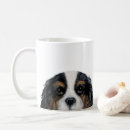 Search for tricolor cavalier mugs Pet