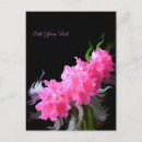 Recherche de azalée cartes postales Fleur