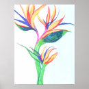 Search for plant drawing posters Illustration
