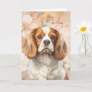 Search for cavalier king charles spaniel birthday cards Spaniels