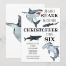 Search for shark pool party invitations Ocean