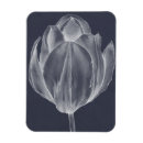 Recherche de tulipe magnets Fleurs