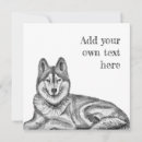 Search for white siberian husky Watercolor