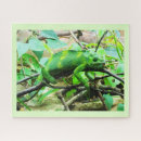 Search for chameleons puzzles Animal