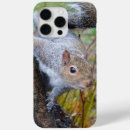 Recherche de écureuils iphone coques Nature