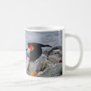 Search for blackbird mugs Red winged blackbird