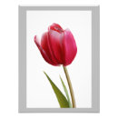 Search for bright flowers posters Photograph