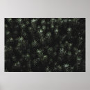 Recherche de fir trees posters Forest